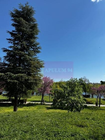 Apartament 3 camere, la parc IOR - 16
