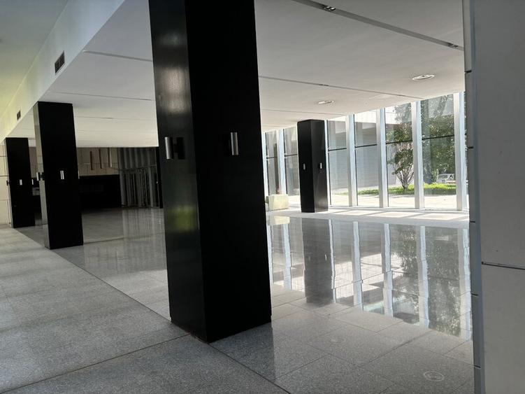 HERASTRAU 2 camere. SUPERB, merita vazut! - 8