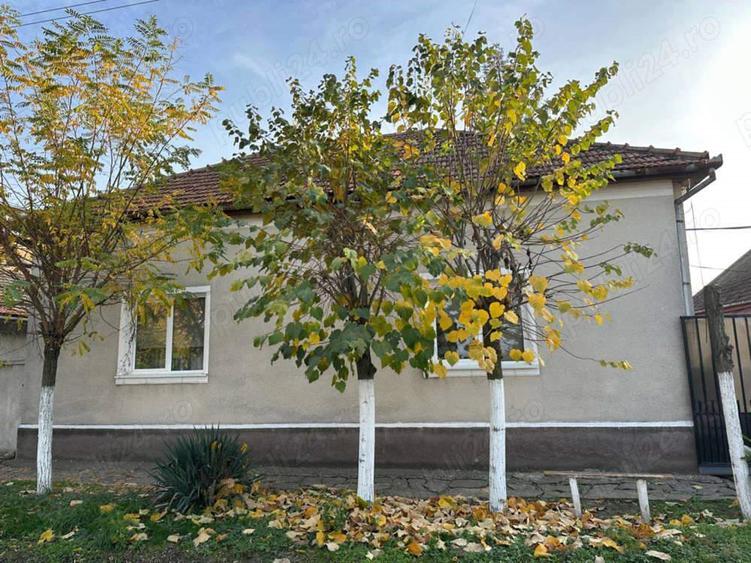 Casa de vanzare doua corpuri - 5