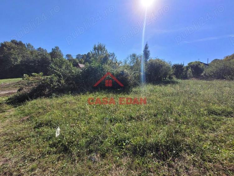 Teren intravilan in Poiana Campina 4285 mp parcelabil 11,6e - 1