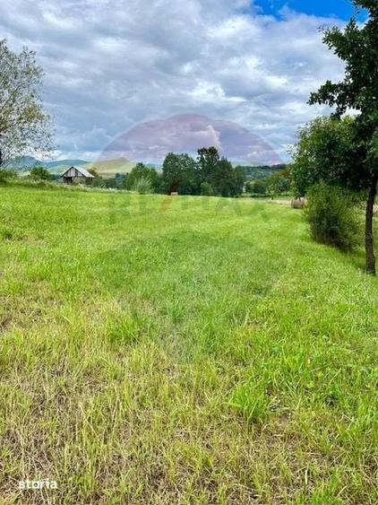 Teren 1,884mp Berbesti / Drumul secundar - 4