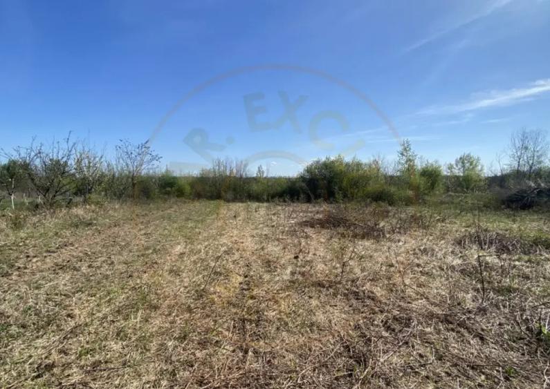 Teren 2000 mp intravilan Smeura-Mosoaia. Comision 0% - 3