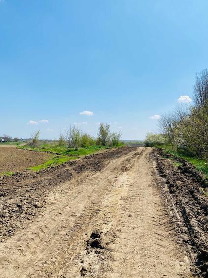 Vand teren extravilan 7800 mp in sat Lipia, com. Gruiu, jud. IF - 3