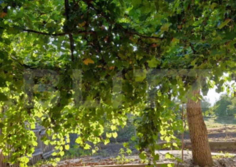 Casa de vanzare Budacu de Jos | 6 km de centrul Bistri - 15