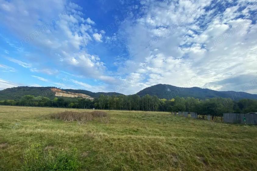 Teren intravilan 13 820 mp, cu acces pe un drum asfaltat, regim de inaltime P+6 - 1