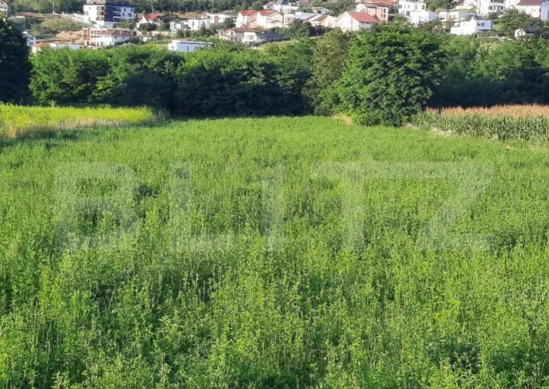 Teren intravilan 1000mp,cu Puz aprobat prin HCL,in Borhanci - 2