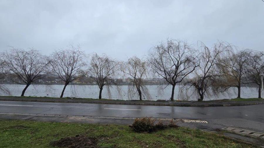 REV2005528 Vila 4 camere Lacul Plumbuita - 1