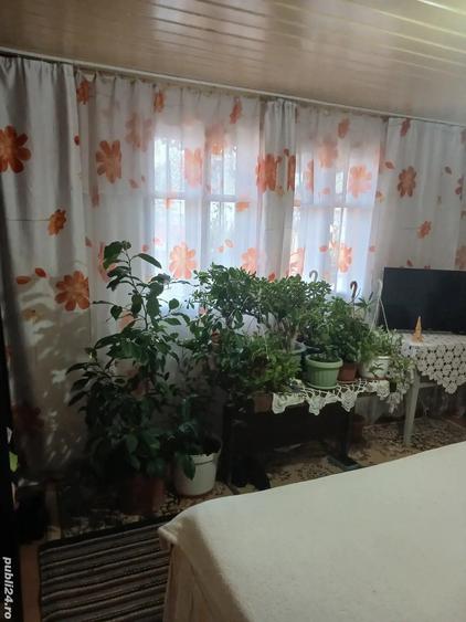 vand casa la curte - 4