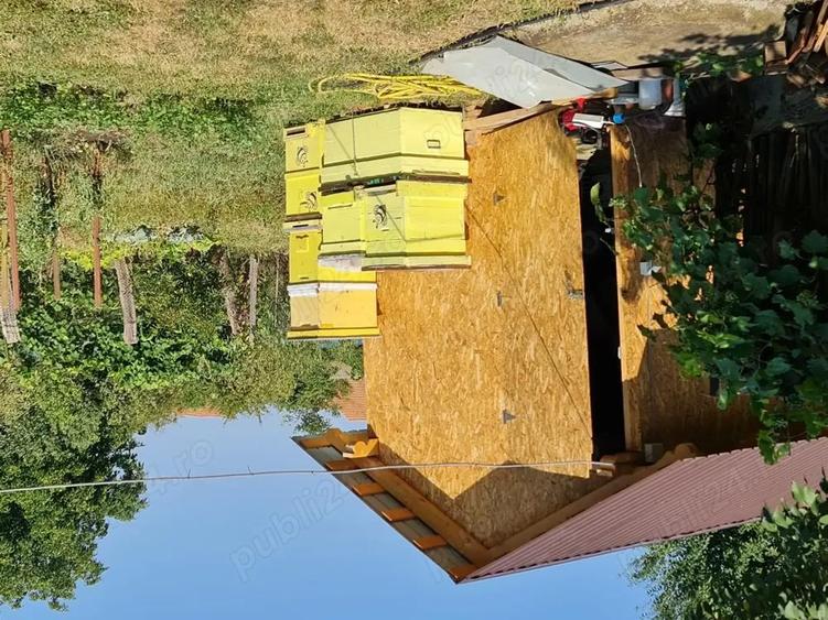 Vand casa, curte si gradina cu magazie - 4