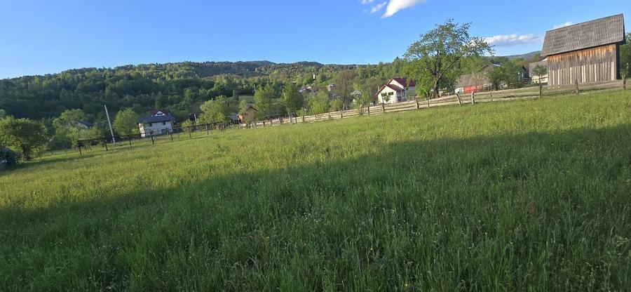 Teren de vanzare intre Borsa si Moisei Maramures! - 2