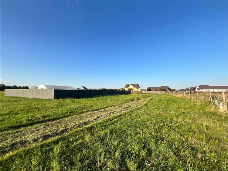 COMISION 0! TEREN INTRAVILAN, 1000MP, HARMAN - 3