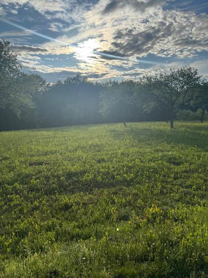 Pamant de vanzare - 4