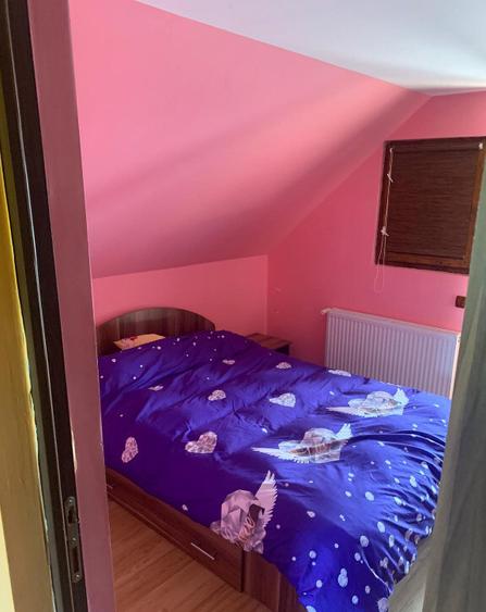 Vand doua case in aceeasi curte, in sat Dudesti, com. Luncoiu de Jos, - 9