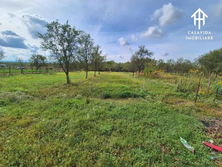 Casa de vanzare in Cire?u - 14