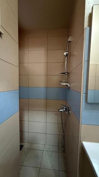 CHIRIE - Centru Vechi Baia Mare-apartament 1 camera - 4