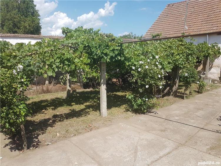 Casa de vanzare urgent locuibila - 6