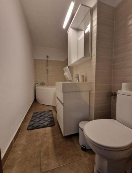 Unirii - Alba Iulia - Naturalia - Apartament 2 camere, mobilat utilat modern - 7