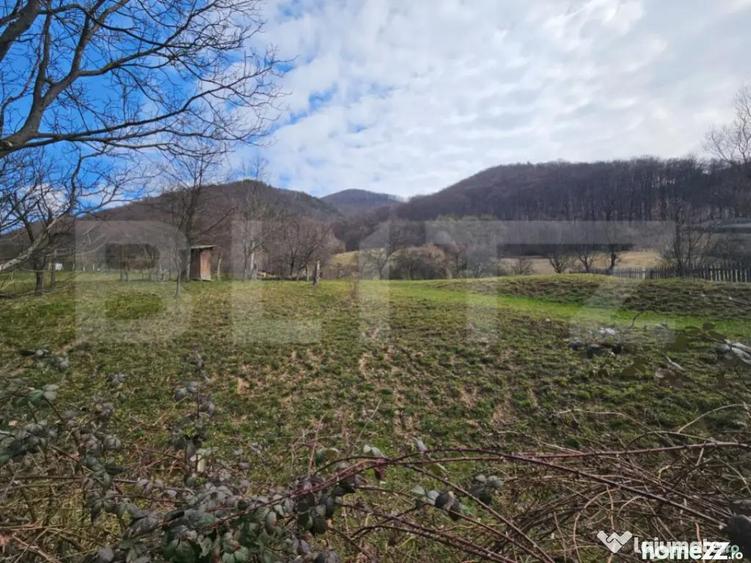 Teren intravilan generos de 4000 mp, cu priveli?te montana - 5