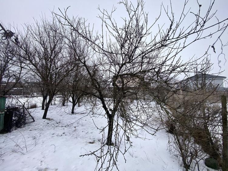 COMISION 0%, Casa 6 Camere, 162mp Utili, 809 mp Teren, Giroc - 8