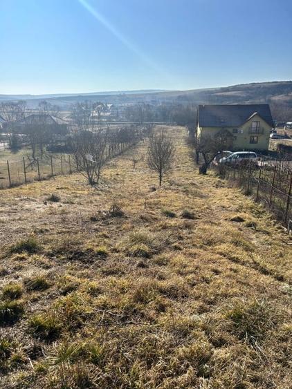 Teren intravilan pentru casa 2400 mp front 16ml Radaia sub pretul pietei - 2