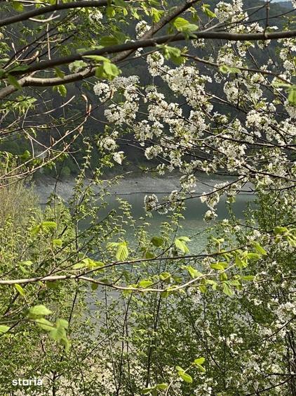 Teren plat, cu deschidere la lacul Paltinu, acces facil - 7