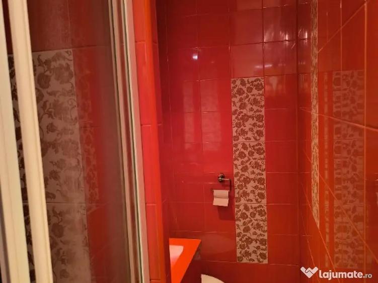 Apartament 2 camere Tei Opanez Parcul Circului - 7