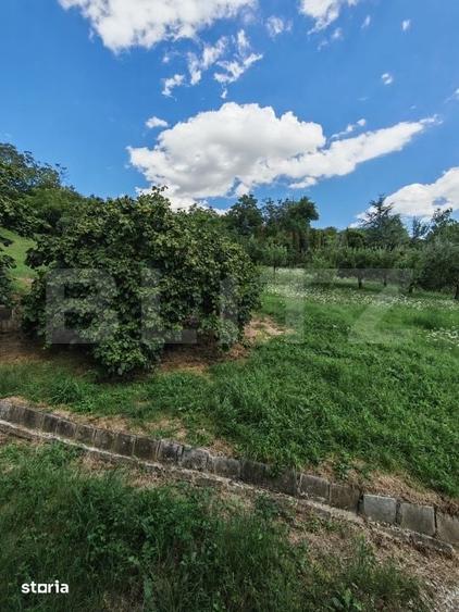 Exclusivitate!!! Casa 175 mp, teren 6200 mp, zona centrala Turda - 18