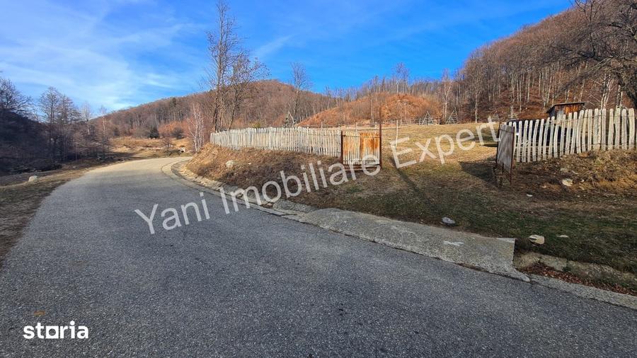 Teren de 4681 mp, în Cicănești