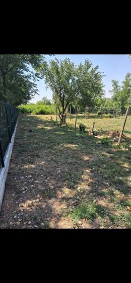 Casă cu 3 camere cu Teren 1500 Mp în Central
