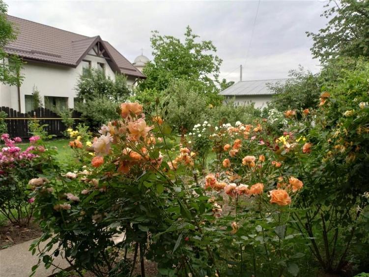 Bacau ,  Vila, la 5 minute de Centrul Orasului - 11