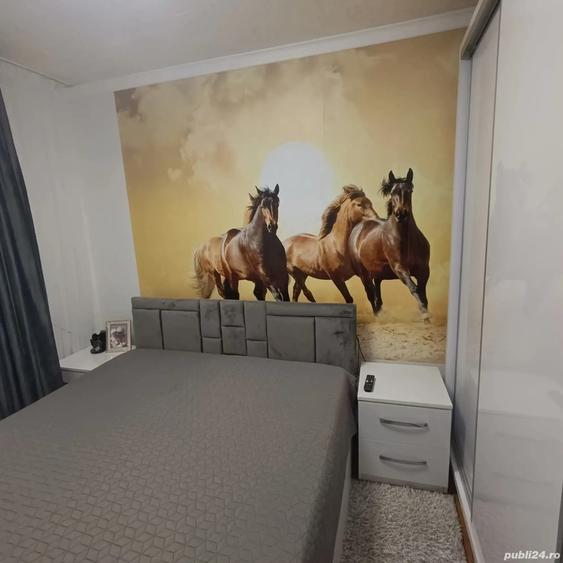 apartament 3 camere - 5