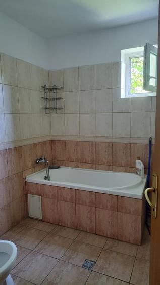 Birouri -Apartament 4 camere în vilă, exclusivist | Mihai Bravu – Splaiul Unirii - 7