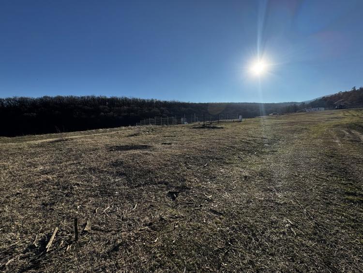 Oportunitate investitie 1153mp Tarnita - Micesti - 3