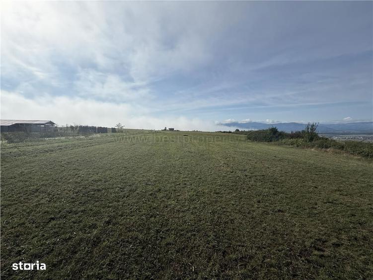 Teren de vanzare Sibiu - Selimbar zona Dealul Daii - Platoul Zorabia - 4