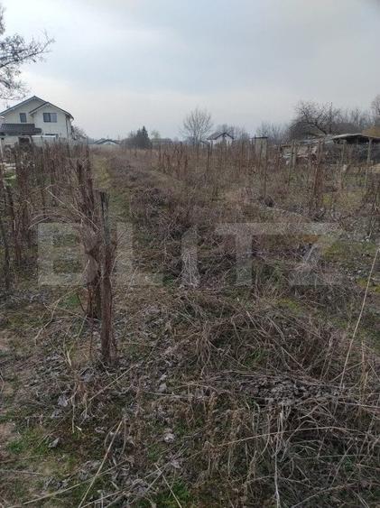 Teren intravilan 1811 mp, cu utilități, zona Malu Mare! - 3