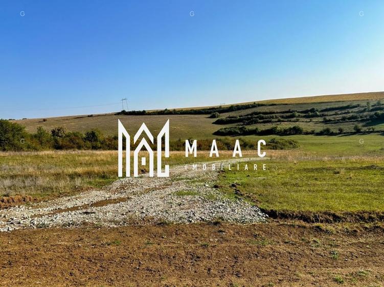 Teren | 651MP | Extravilan | Rusciori - 4