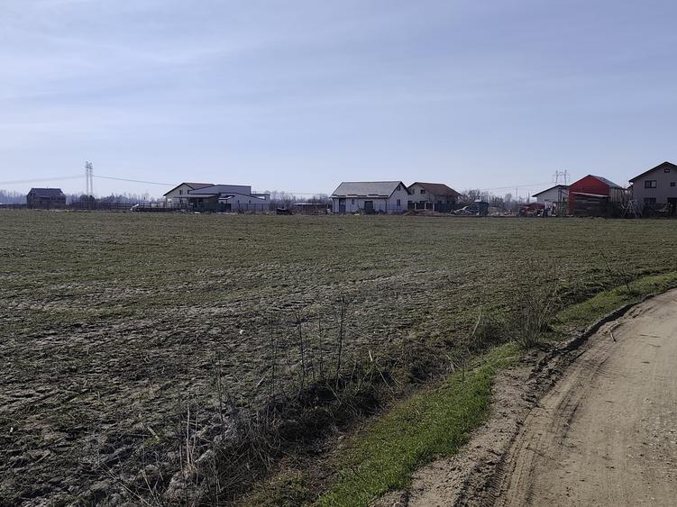 FARA COMISIOANE in Sabareni teren in suprafata de 23200mp gaze curent la teren - 6