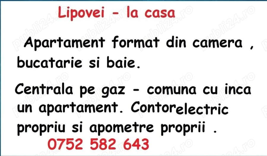 Lipovei - la casa - 6