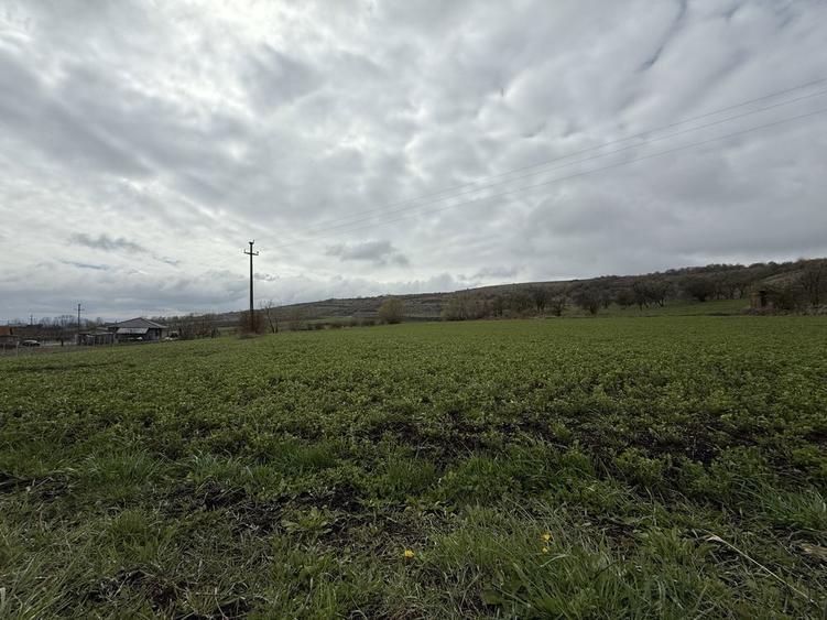 Vand teren Valea Chintaului Mun Cluj Napoca - 5