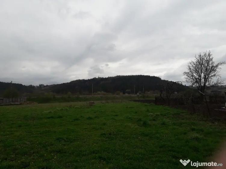 Teren Intravilan Intrare Scheia - Suceava - 1