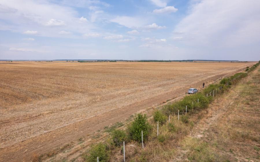 FRUMUSANI - PASAREA, TEREN 14420 MP, FRONT 40 M! - 16