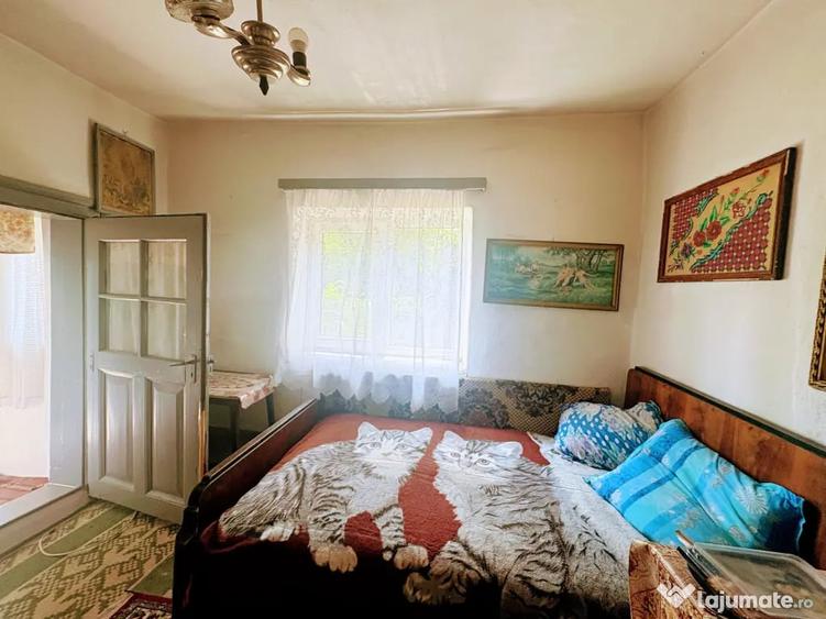 Casa la 200 m de balta, Ulmu, judet Calarasi - 3