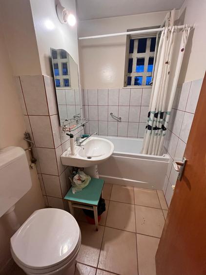 Baba Novac - Liviu Rebreanu - Park Lake - Dristor - 3