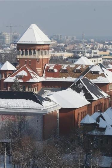 Piata Victoriei 3 camere decomandat vedere panoramica - 10