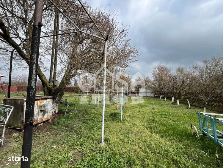 Casuta din lemn de weekend sau casa de vacanta cu teren si livada - 5