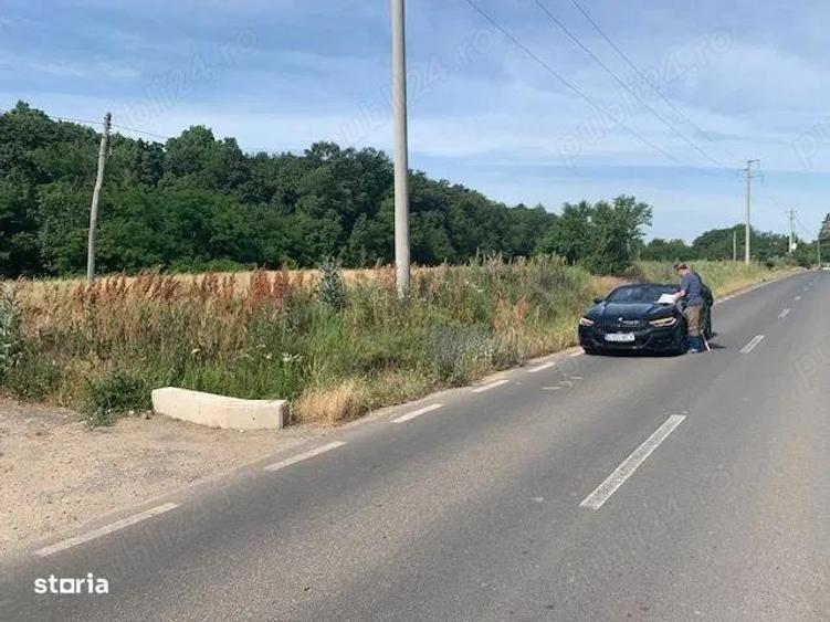 Proprietar vand teren langa Domnesti la Bucsani la padure - 1