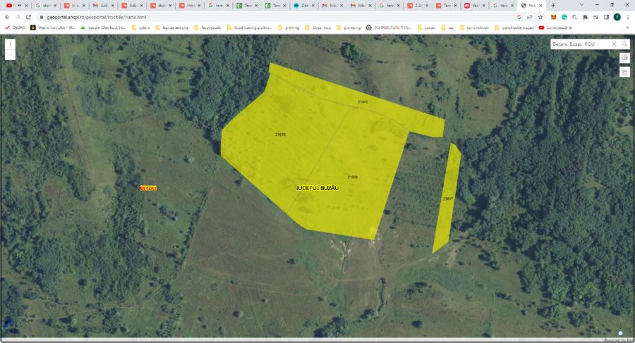 Vând Teren Extravilan Beceni, Jud. Buzău 63.000 mp - 4