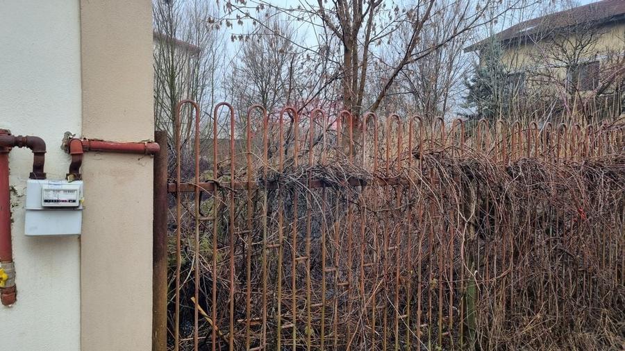 Teren 625mp Mogosoaia / Strada Livezilor - 5