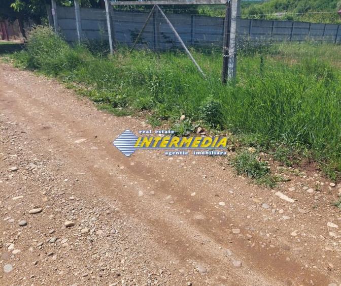 Teren intravilan 700 mp,  Alba Micesti cu utilitati in fata - 1