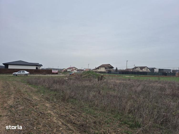 Lot Balotesti,electricitate,gaz,canalizare,apa curenta la teren - 5